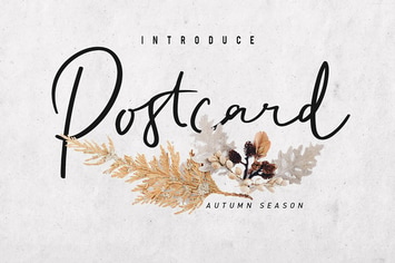 Postcard Script