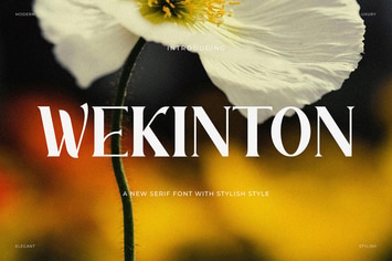 Wekinton - Stylish Serif Font