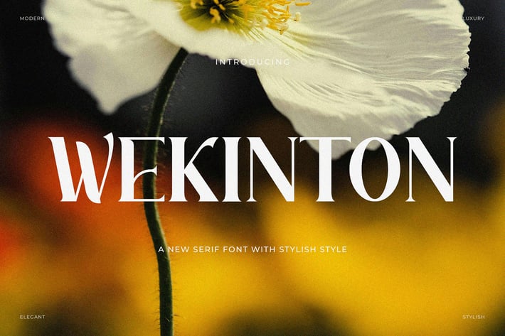 Wekinton - Stylish Serif Font