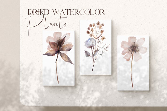 Watercolor dried plants set
