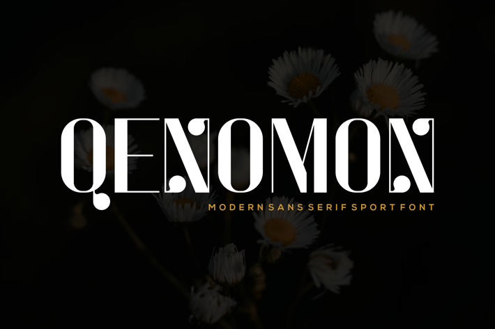 Qenomon Font