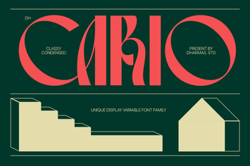 Cario - Modern Decorative Variable Display