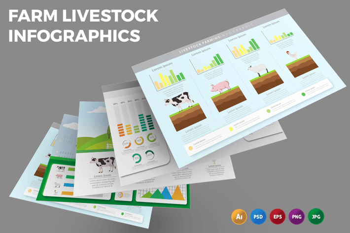 Farm Livestock – Infographics Design