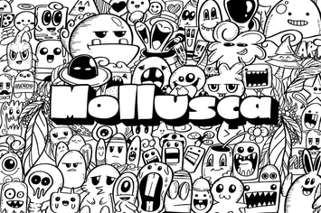 Mollusca Font Trio | Doodle Font