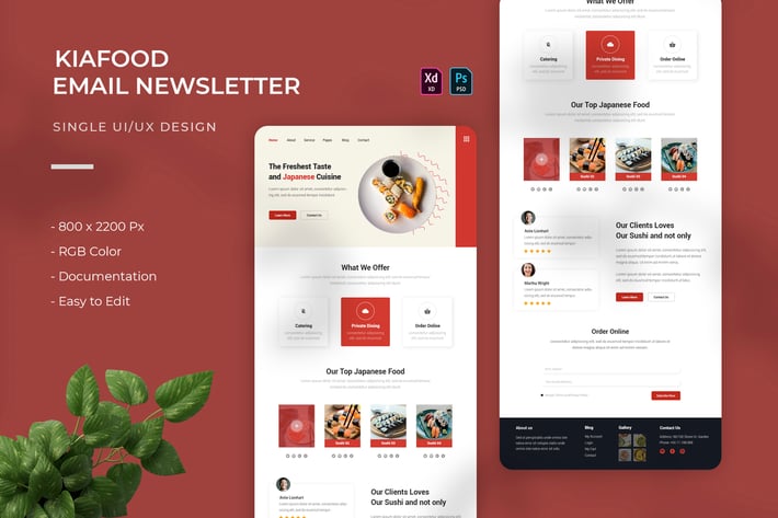 Kiofood | Email Newsletter