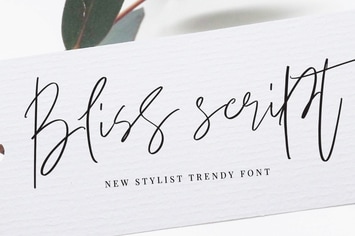 Bliss Script Stylist!