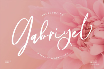 Gabriyel | A Beauty Script Font