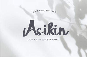 Asikin 