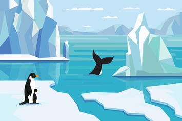 Antarctic - Illustration Background