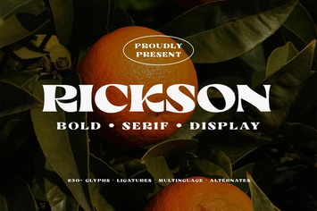 Rickson - Bold Serif