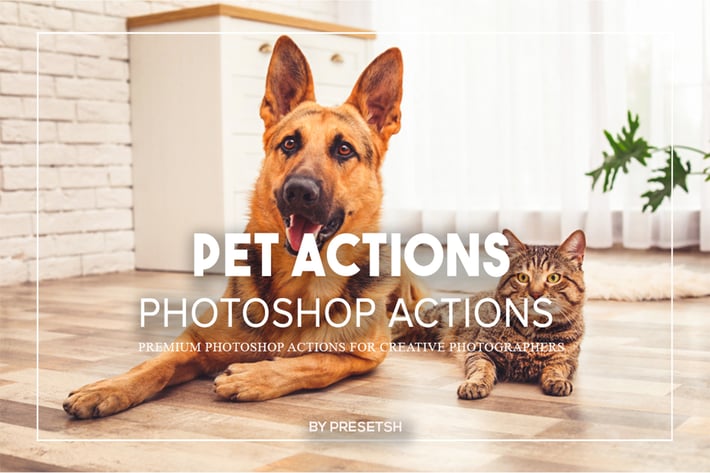 Pets Photoshop Actions