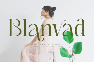 Blanvad Stylish Modern Serif Font 