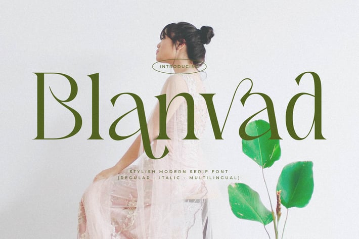 Blanvad Stylish Modern Serif Font 