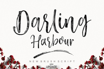 Darling Harbour Brush
