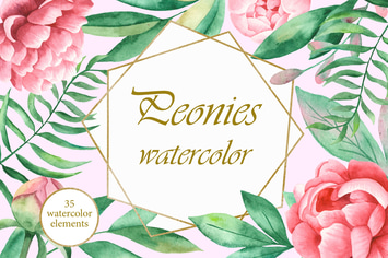 Watercolor Peonies flowers