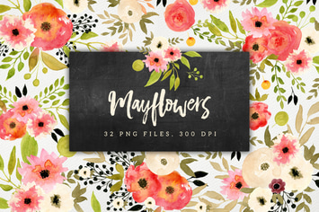 Mayflowers