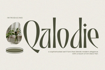 Qalodie - Elegant Modern Aesthetic Serif