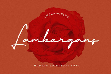 Lamborgans Signature
