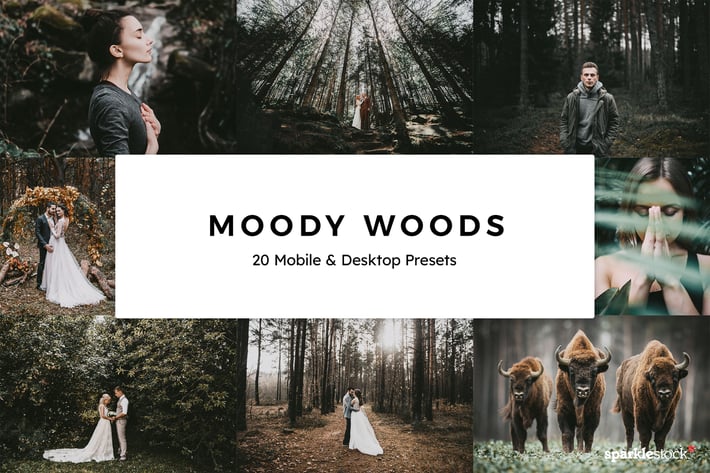20 Moody Woods Lightroom Presets & LUTs