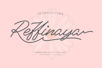Reffinaya | Monoline Script Typeface