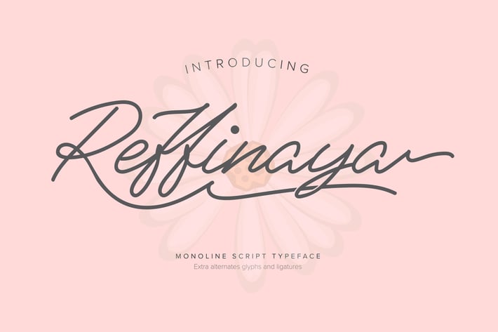 Reffinaya | Monoline Script Typeface