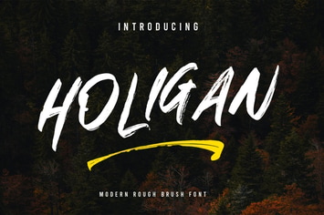Holigan - Brush Font
