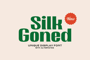 Silk Goned Modern Display Fonts