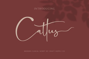 Cattus - Modern Casual Script Font