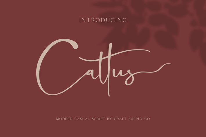 Cattus - Modern Casual Script Font