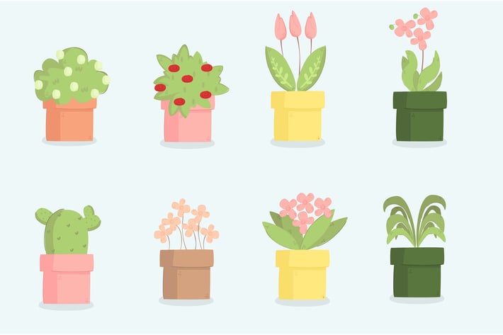 Plants Cartoon Illustration Set