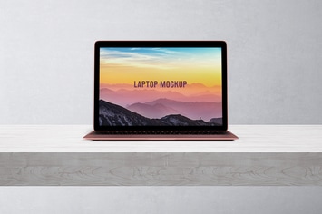 14x9 Laptop Screen Mock-Up - Rose Gold