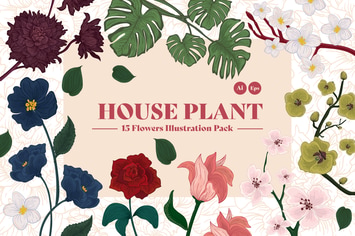 House Plant Illustration Kit