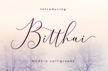  Bitthai Script