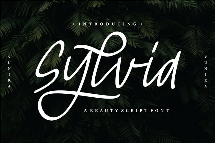 Sylvia | Beauty Script Font