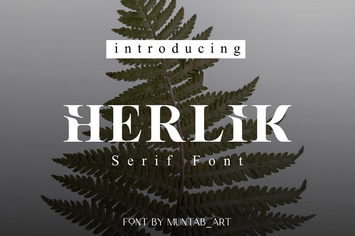 Herlik | Modern Serif Font
