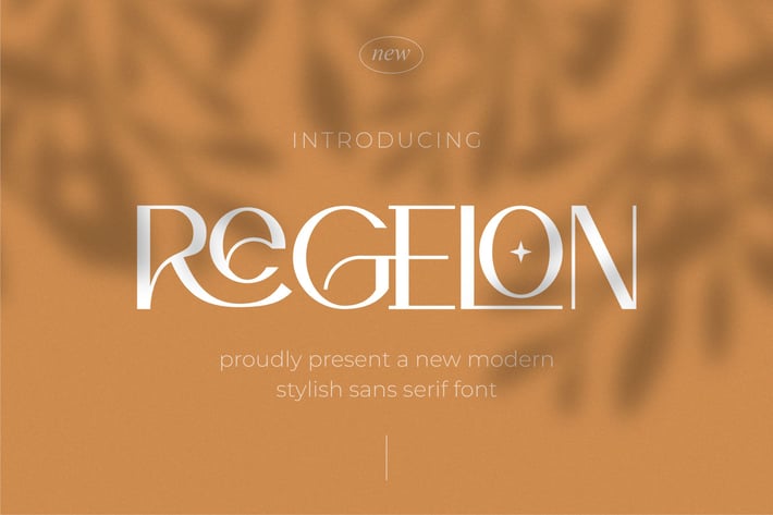 Regelon || Modern Stylish Sans Serif Font