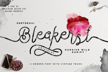 Bleakerst Script