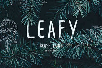 Leafy Brush Font