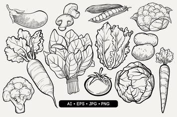 Hand Drawn Vegetables