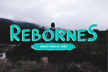 ReborneS