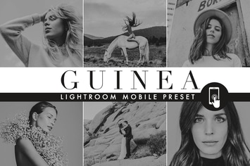 Rich Black Lightroom Mobile preset