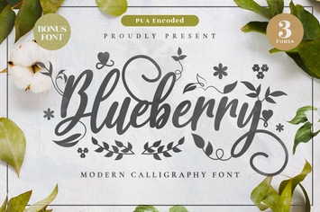 Blueberry - Modern Calligraphy Font