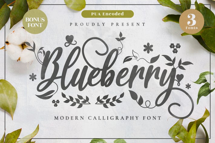 Blueberry - Modern Calligraphy Font