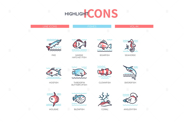 Fish species - modern line design style icons set