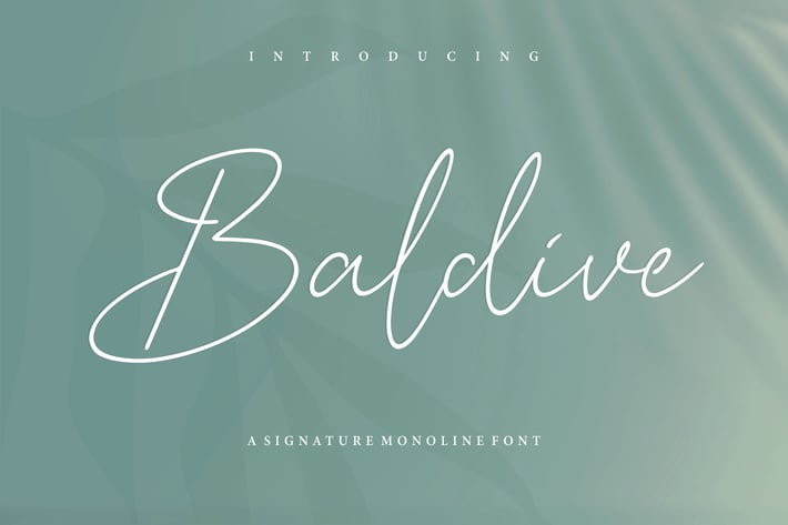 Baldive - Signature Monoline Logo Font