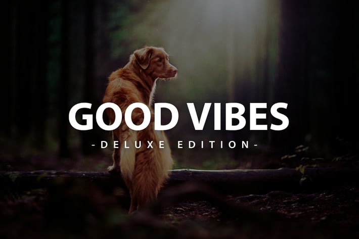 Good Vibes Deluxe Edition | Fro Mobile and Desktop