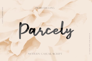 Parcely - Modern Casual Script