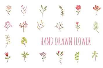 Flower Hand Drawn