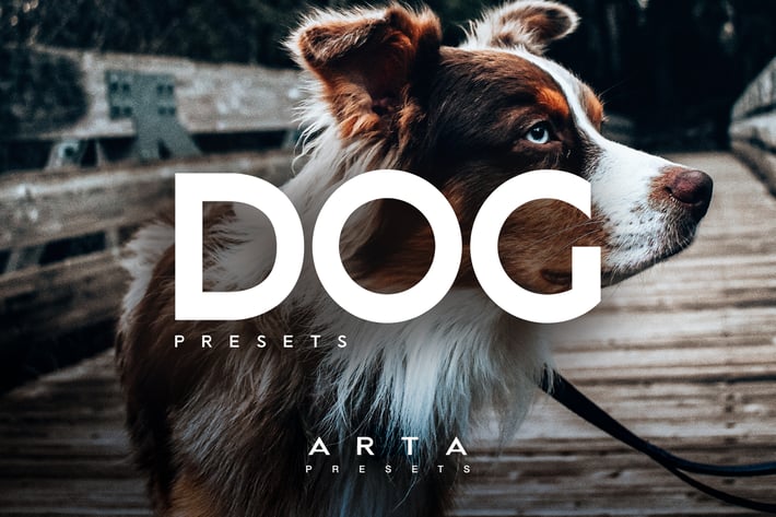 ARTA Dogs Presets For Mobile and Desktop