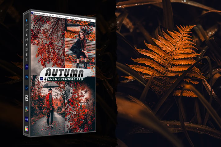 Autumn Presets And luts Video Premiere Pro